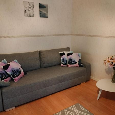 Spacious Apartment With Balcony And Free Wifi Ροβανιέμι Εξωτερικό φωτογραφία